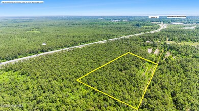 Lot 297 Plantation Rd, Wilmington, NC 28411 - photo 4