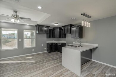 819 Sabrina Dr, Alamo, TX 78516 - photo 3