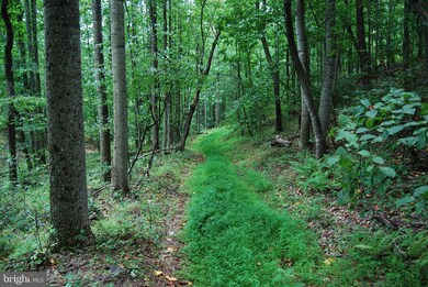 0 Apple Harvest Dr unit WVBE2021352, Cherry Run, WV 25427 - photo 6
