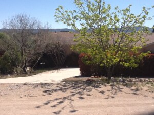 photo(9)
