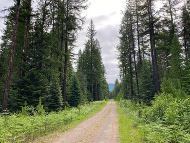 139 Graham Grove Ln, Trout Creek, MT 59874 - photo 4