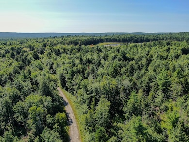 DJI_0925