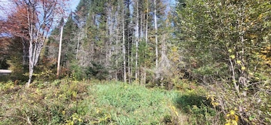 0 Thomas Rd unit 32.1 5052957, Lunenburg, VT 05906 - photo 5