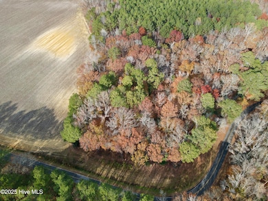 0 Williams St, Williamston, NC 27892 - photo 2