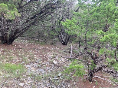 9856 Cash Mountain Rd, Helotes, TX 78023 - photo 6