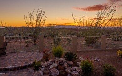 Arizona Cypress-115