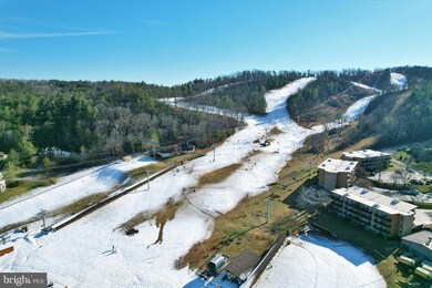 1814 Fairway Dr unit 338, Basye, VA 22810 - photo 4