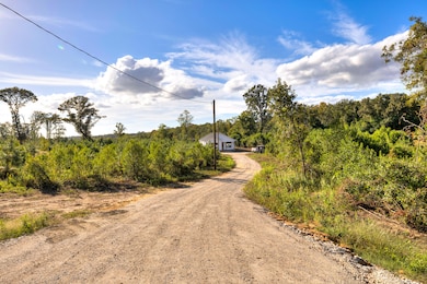 Driveway looking towards house
