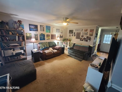 5202 Millet Ln, Knoxville, TN 37918 - photo 4