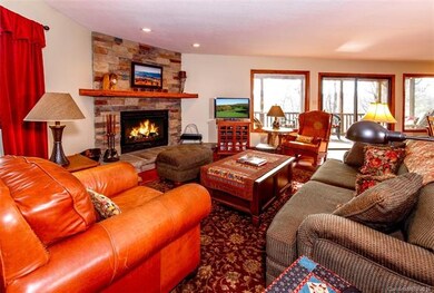 Living Area with Stone Wood Burning Fireplace.