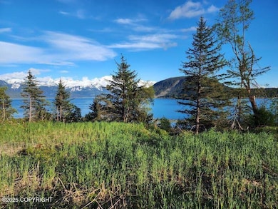 Lot 7 Barnett St W, Haines, AK 99827 - photo 2