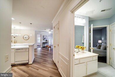 12501 Hayes Ct unit 303, Fairfax, VA 22033 - photo 4