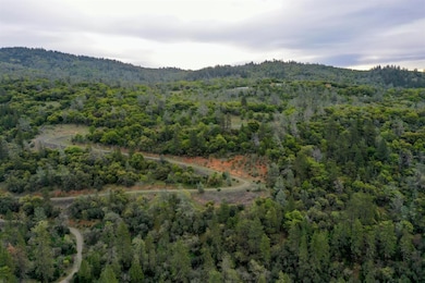 0 Eagle Nest Way unit 225015999, Oregon House, CA 95962 - photo 7