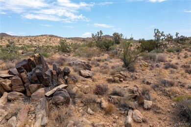 View of local wilderness