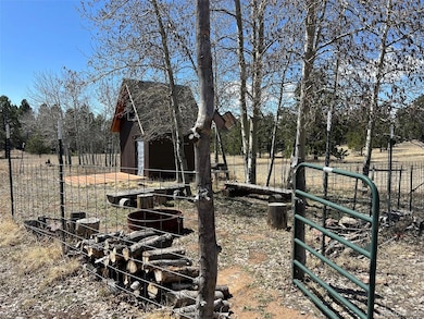 1965 Vagabond Creek Dr unit 9, Lake George, CO 80827 - photo 7