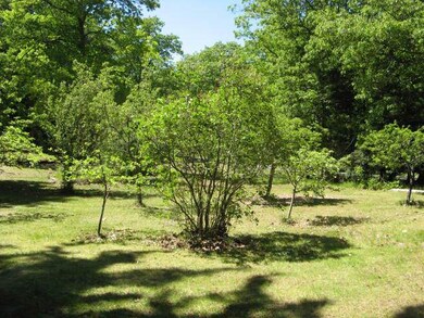 Fruit Trees