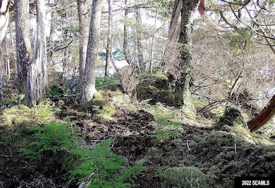 NHN: C-2RC Long Island, Sitka, AK 99835 - photo 5