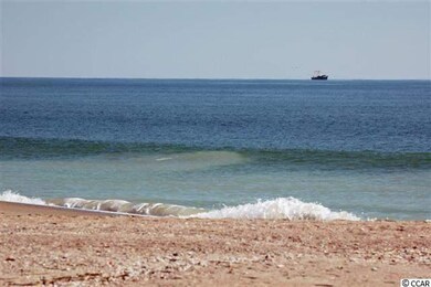 Lot 161 Sanderling Ave, Georgetown, SC 29440 - photo 6