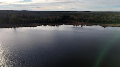 DJI_20240117051502_0128_D