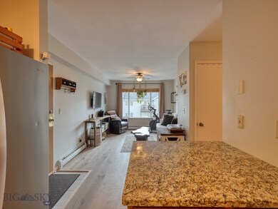 Kitchen/Living Area