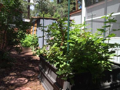 Lush Vegetable Planters