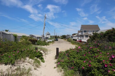 fid from beach