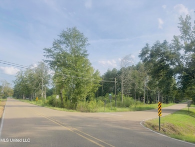 4887 Jackson Raymond Rd, Raymond, MS 39154 - photo 3