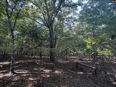 0 Shaw Rd, Woodruff, SC 29388 - photo 4