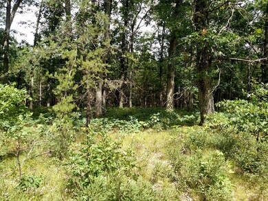 VL Gas Line Rd, Baldwin, MI 49304 - photo 3