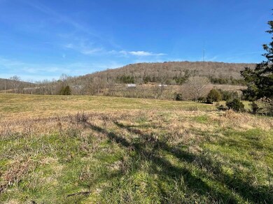 231 Highway 1003, Somerset, KY 42501 - photo 5