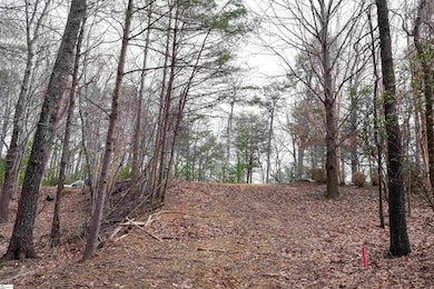 44 Mountain Oak Ln, Travelers Rest, SC 29690 - photo 4