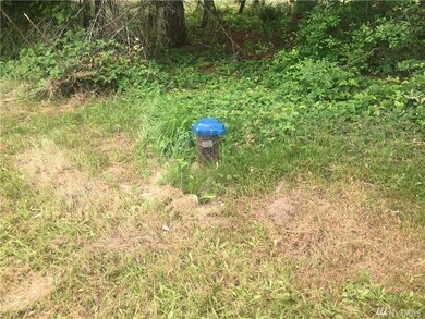 862 Highway 603, Chehalis, WA 98532 - photo 4