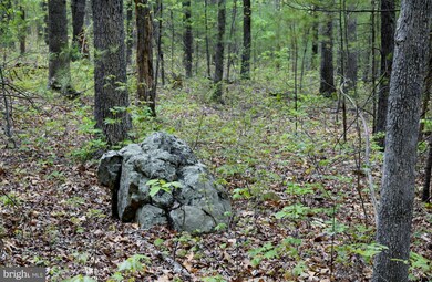 0 Catron Ridge Rd unit 1000405215, Bentonville, VA 22610 - photo 4