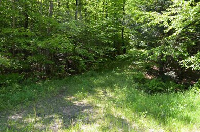 0 Farm Ridge Rd unit Lots 18/19, Ludlow, VT 05149 - photo 5