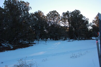 0 Power Line Rd unit 234621, Overgaard, AZ 85933 - photo 3