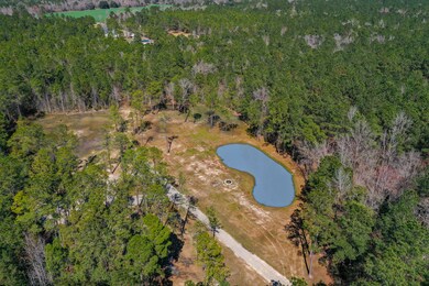 00 Myers Mayo Rd unit Lot 5, Ridgeville, SC 29472 - photo 3