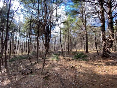 tbd N Dexter Rd, Sangerville, ME 04479 - photo 3