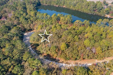 4258 True Blue Ct, Mount Pleasant, SC 29429 - photo 6