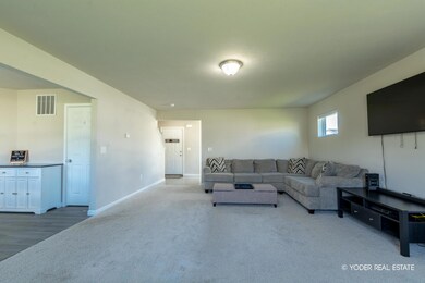 9314BIGLEAFDR-5