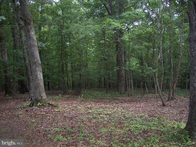 7413 Rosita Ct, Manassas, VA 20112 - photo 3