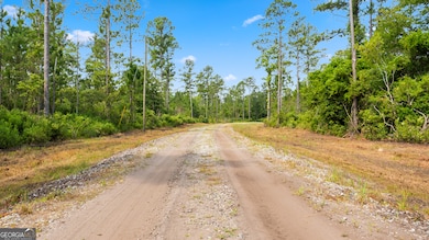 1 Coastal Estates Dr, Brunswick, GA 31525 - photo 6