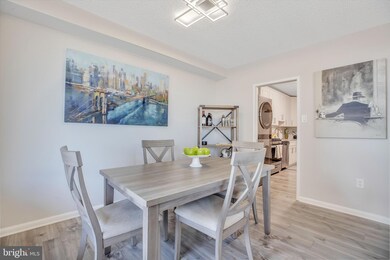 Skyline Plaza unit 1303N, Baileys Crossroads, VA 22041 - photo 7