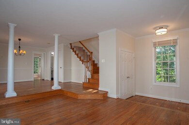 2317 Highland Ave, Falls Church, VA 22046 - photo 7
