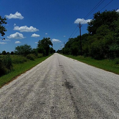 0 Hopkins unit 22999657, Beasley, TX 77417 - photo 5