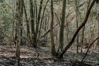 0 Hwy 1083 (Ben Williams Rd ) Hwy, Covington, LA 70435 - photo 5