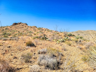 104 Tanque Caballo, Terlingua, TX 79852 - photo 4