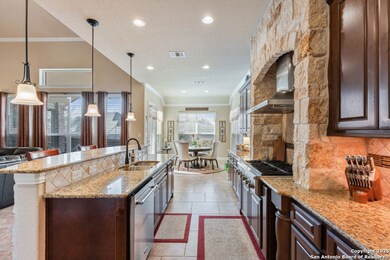 25934 Natal Plum, San Antonio, TX 78261 - photo 5