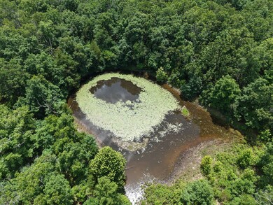 0 Copperstone Ln, Union Township, MO 65459 - photo 5