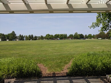 Neighborhood Amenities