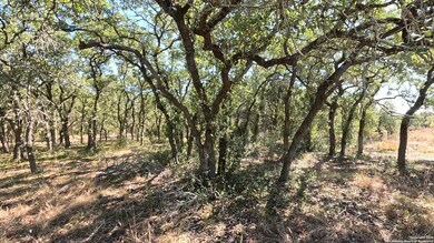 34672 Ansley Ridge Trail, Bulverde, TX 78163 - photo 4